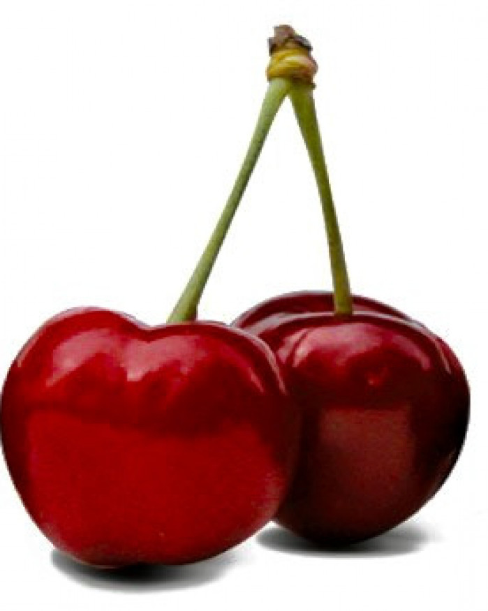 CERISE CALIBRE GROSSE 