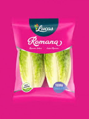 romaine lucas 2 pieces par sachet