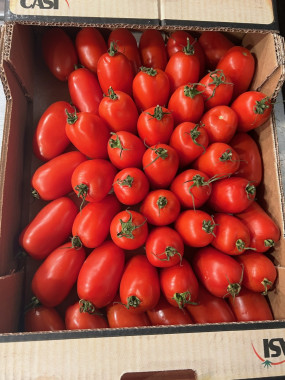Tomate cerisette grappe olive colis 3 KG