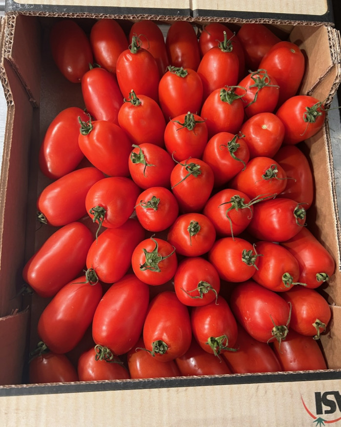 tomate olivette promo 2 kilos 3€