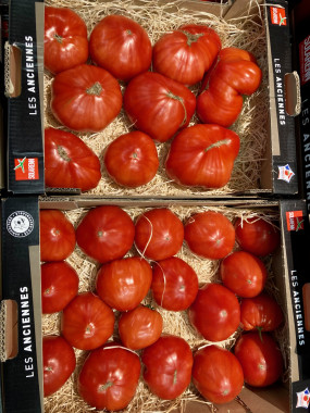 TOMATE COEUR DES ANGES promo 2  kilos 6€