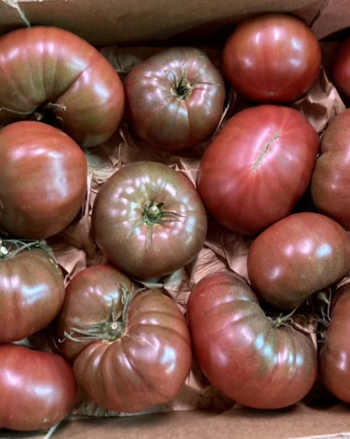 TOMATE  NOIRES PETITES GUSTATIVES