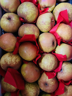 pomme reinette d armorique  promo 2 kilos 6€