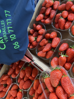fraise gariguette de Sologne promo 2 pour 5€