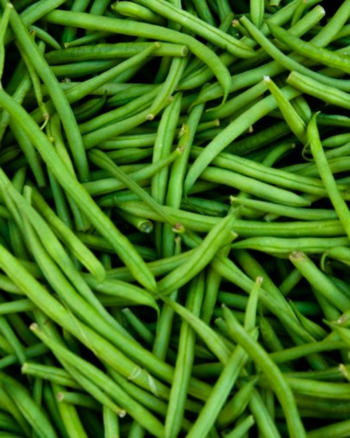 haricot vert FIN