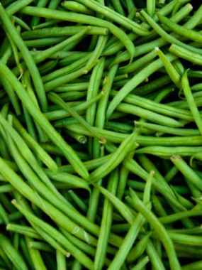 haricot vert FIN