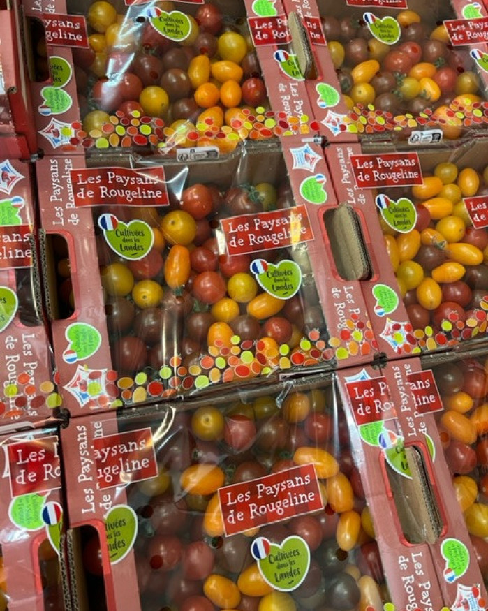 tomate cerise multicolore  le colis 5€(soit 1 kilo!)