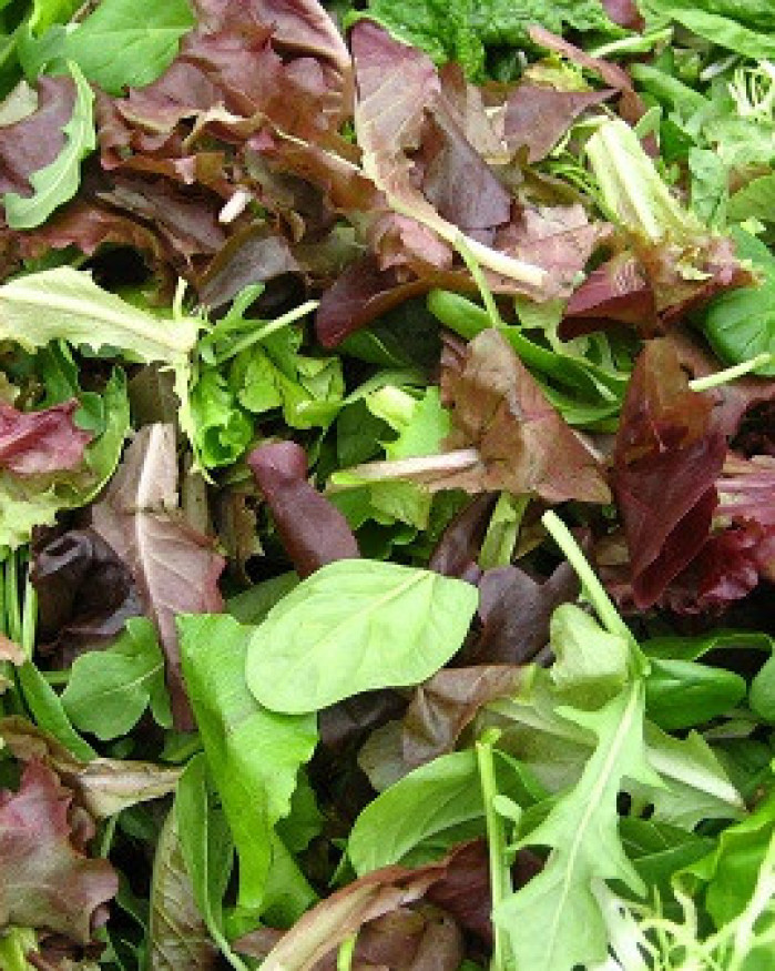 mesclun au colis de 1 kilo