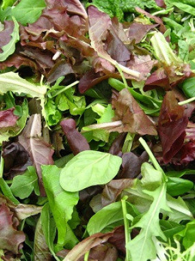 mesclun au colis de 1 kilo