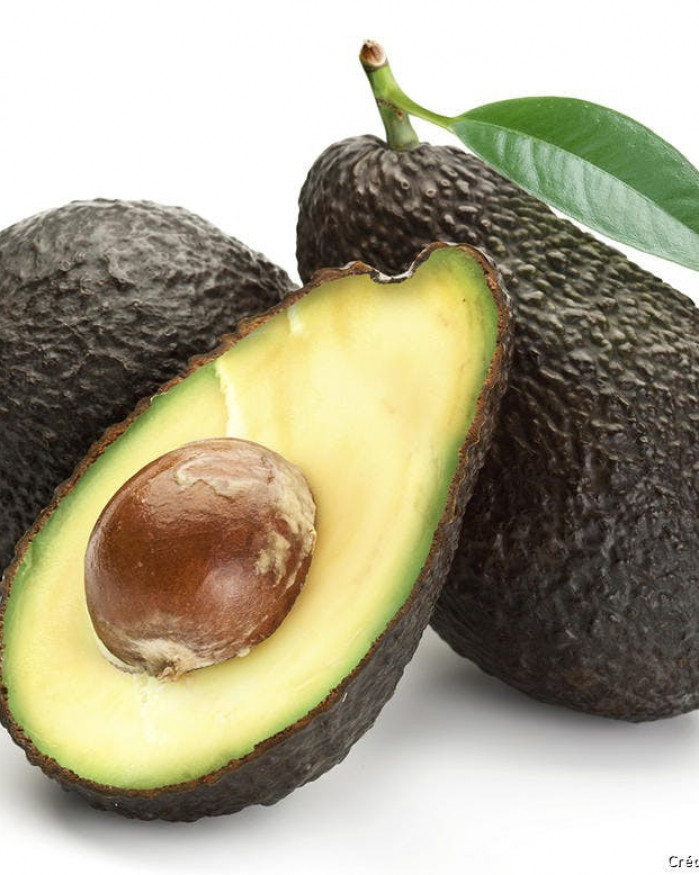 avocat calibre moyen 4 pièces 5€