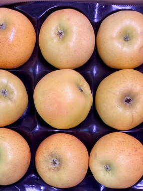 Pomme Chanteclerc  promo 2 kilos 6€