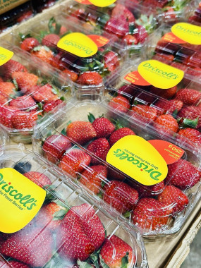 fraise 250 gr  2 barquettes 5€