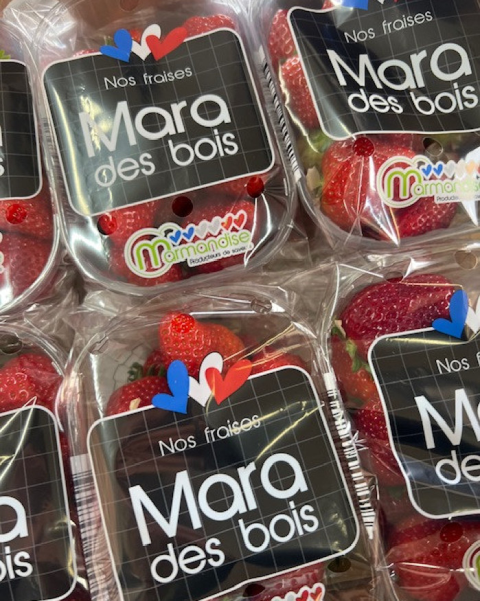 fraise mara des bois chezbrigitte-versailles.com