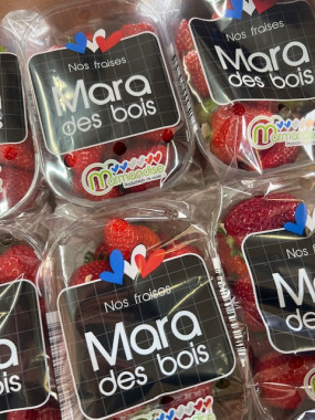 Fraise Mara des bois 2 barquettes de 250g pour 7 €