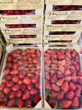 fraise espagne  1kilo promo 2 kilos 10€