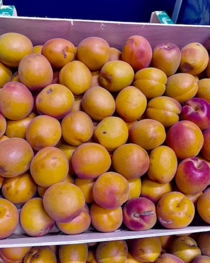 ABRICOT à CONFITURE le colis 5 kilos