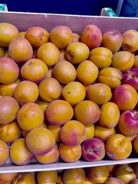 ABRICOT à CONFITURE le colis 5 kilos