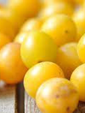 prune MIRABELLE a confiture le colis de 6 kilos environ