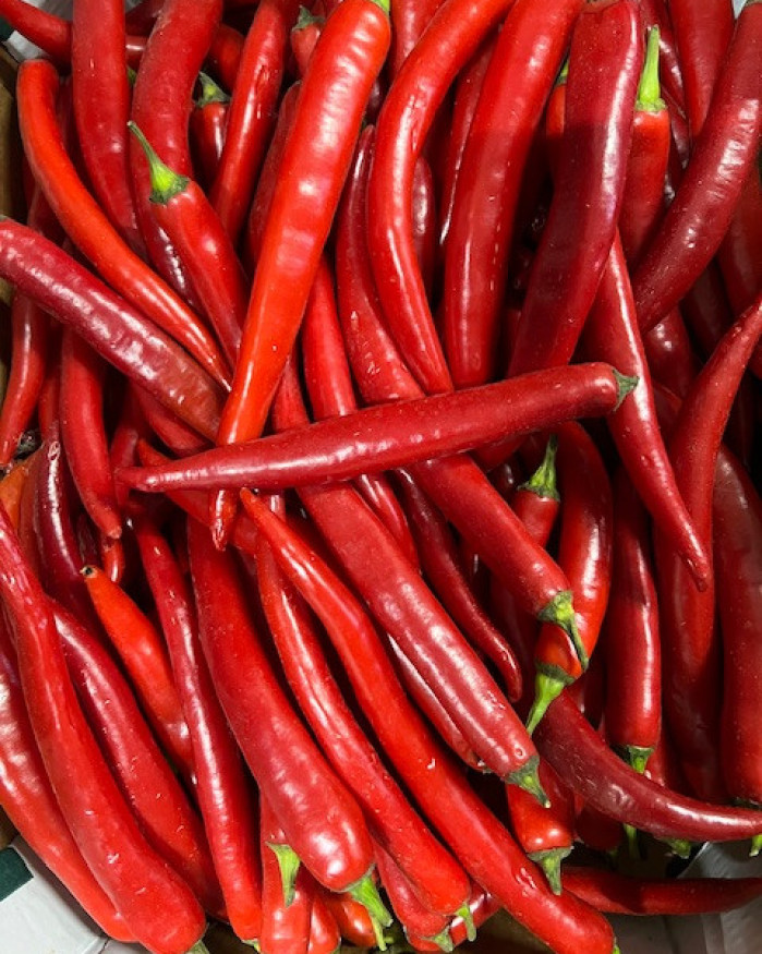 Piment oiseau rouge 100g chezbrigitte-versailles.com