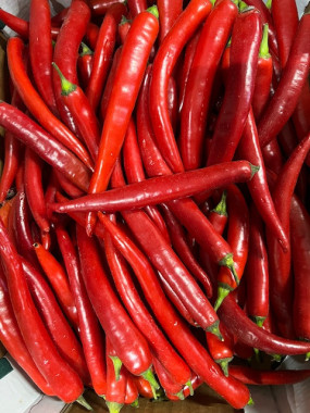 Piment oiseau rouge 100g