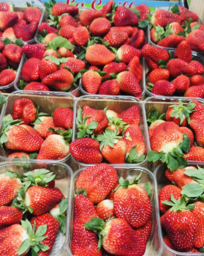 fraise CHARLOTTE 500g