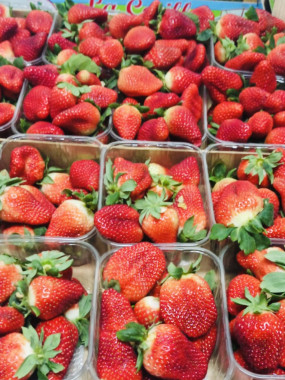 fraise CHARLOTTE 500g