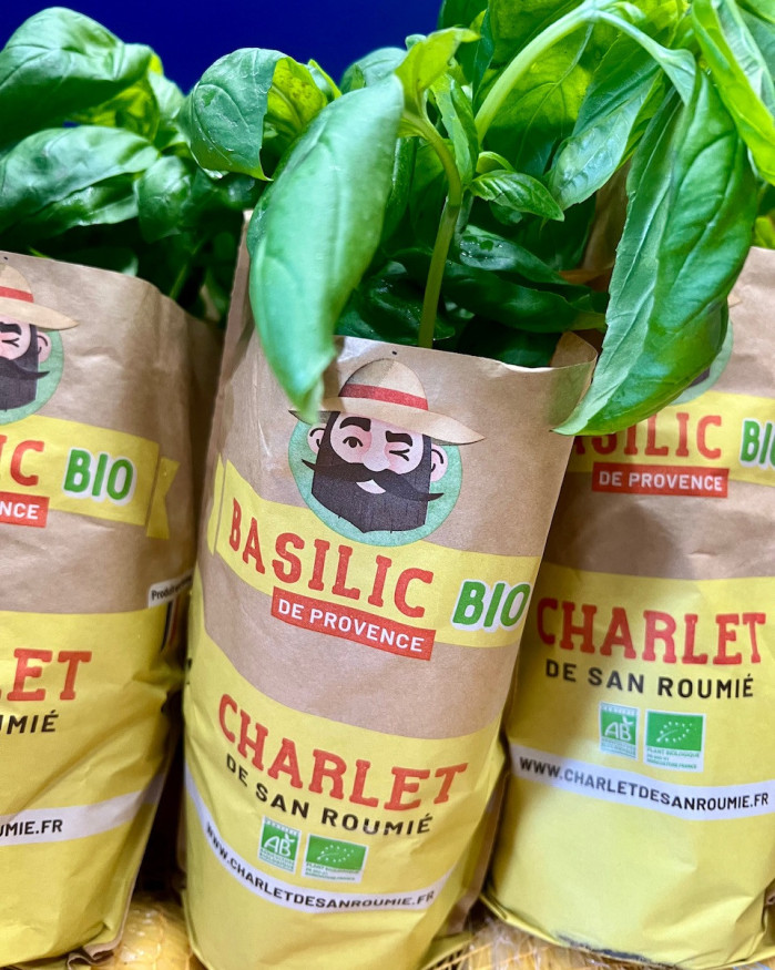 basilic chezbrigitte-versailles.com