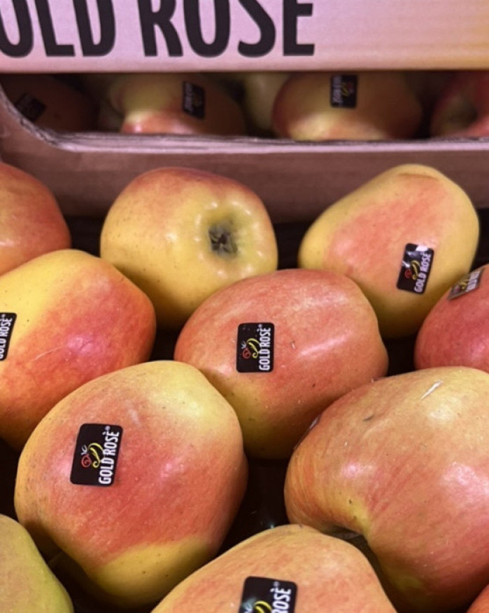 POMME golden rosé 2 kilos 6€