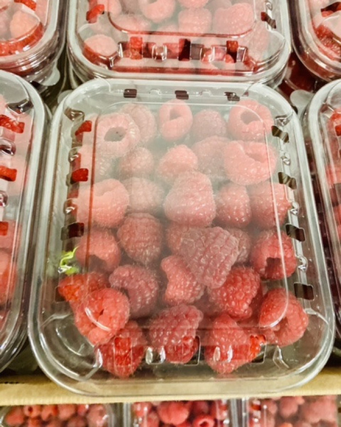 FRAMBOISE   3 barquettes pour 5€