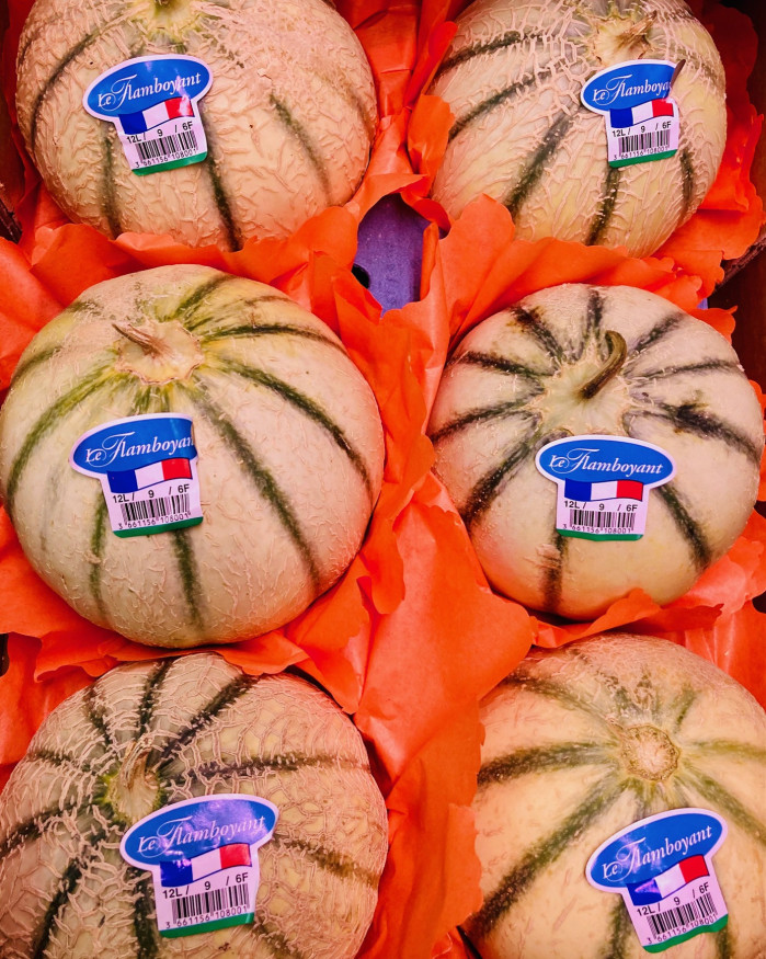 melon superieur gros «  le puit d amour « 