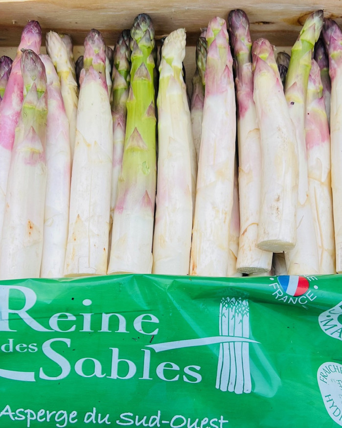 asperges calibre grosse verte  violette  france 