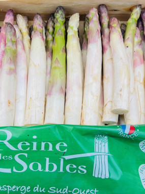asperges calibre grosse verte  violette  france 