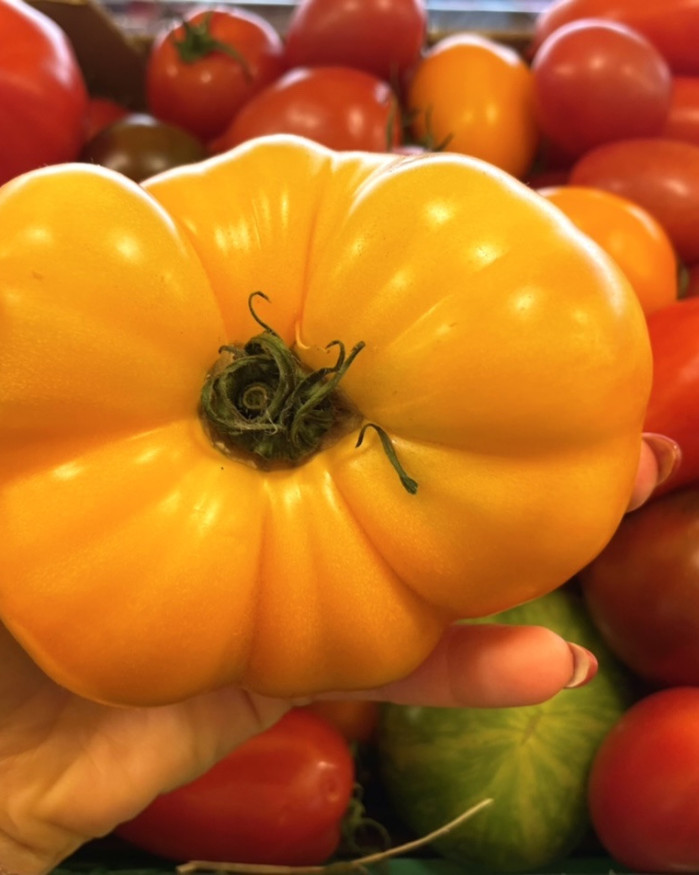 TOMATE ANANAS PROMO LE COLIS DE 3.5 KILOS