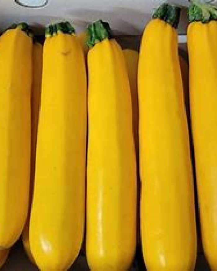 courgette jaune 2 KILOS 5€  