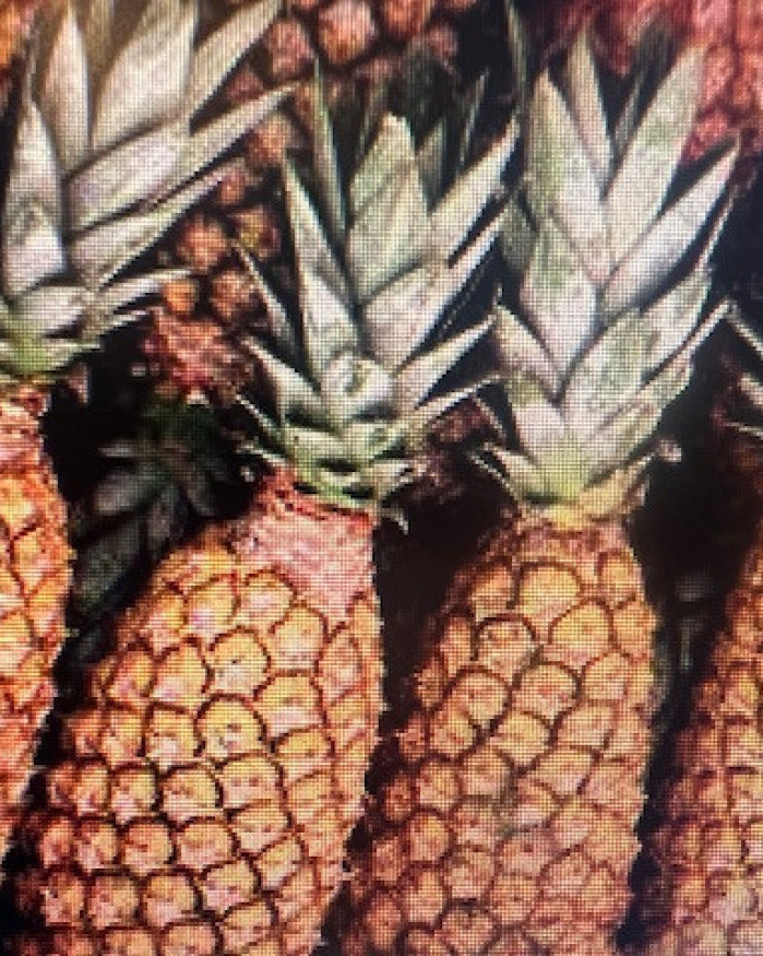 Ananas par avion du benin promo 2 POUR 6€