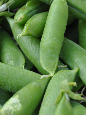Petit pois