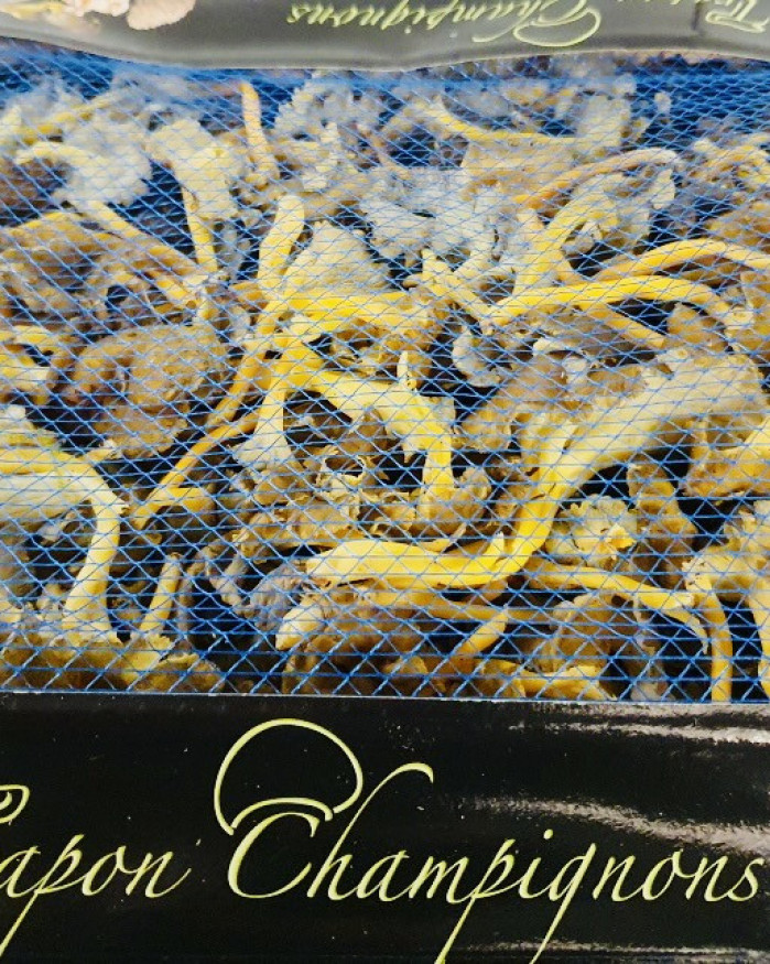 Champignon Chanterelle