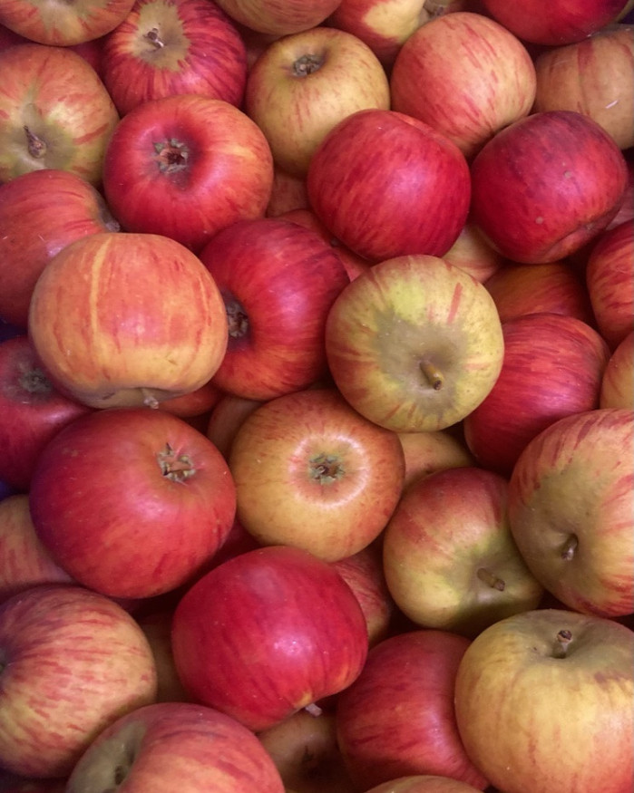 Pomme RUBINETTE PROMO 2 KILOS 6€