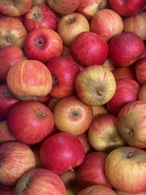 Pomme RUBINETTE PROMO 2 KILOS 6€