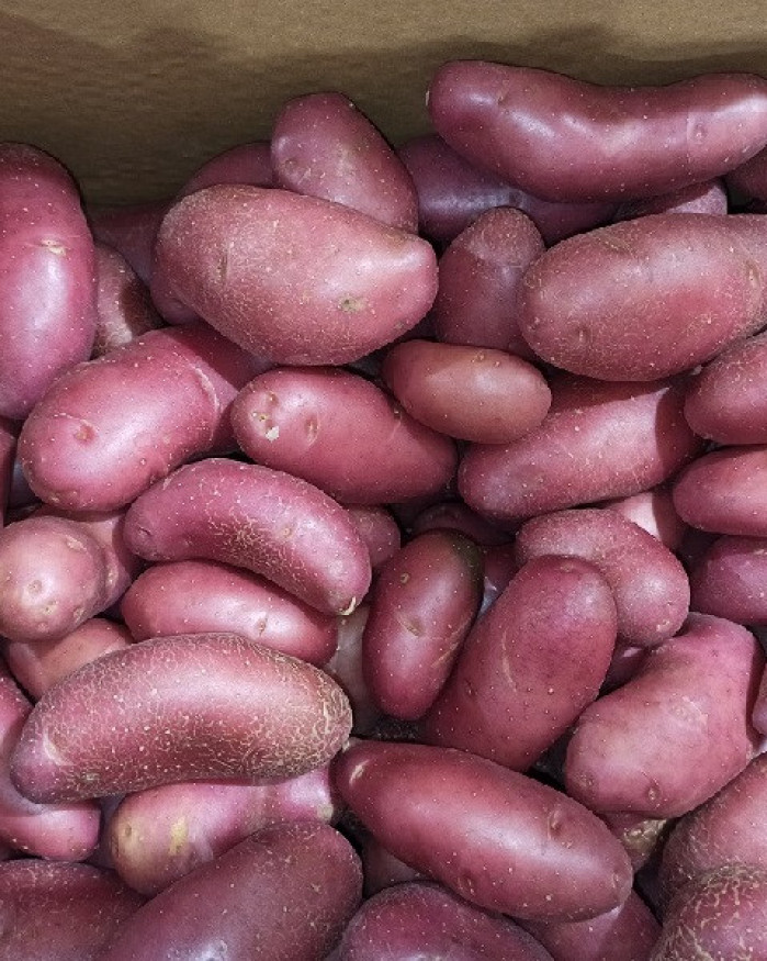 Rose De Pomme De Terre Cyril Lignac Découvrez Les 4 Secrets Du Chef Cyril Lignac Pour Une Purée De Pommes 13 pomme de terre rose | CHEZ BRIGITTE