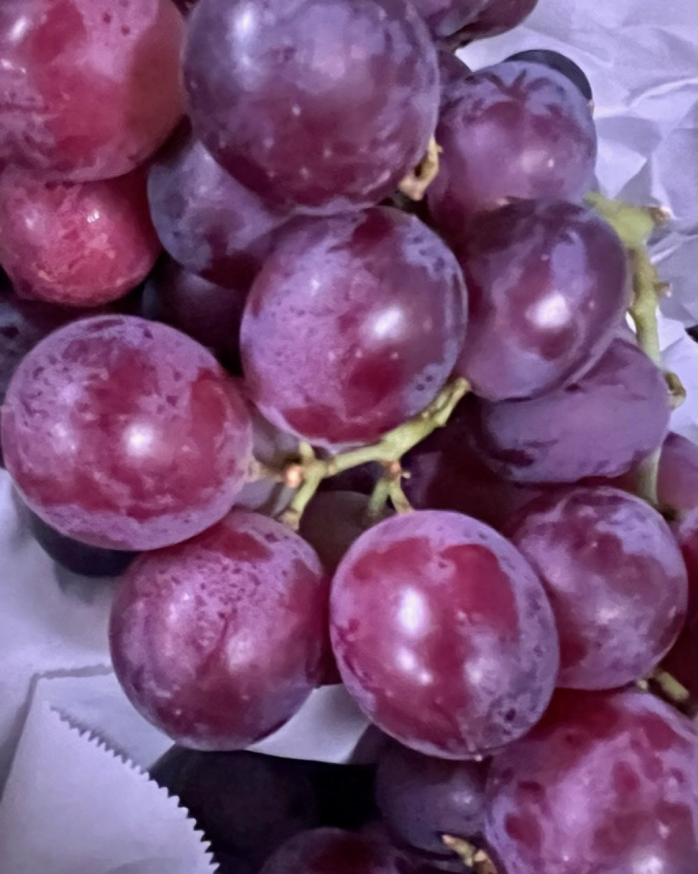 raisin rose gout fraise SANS PEPINS CHEZ BRIGITTE